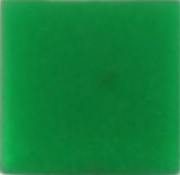 SWF 596650 SWF 596650 Inlegplaatje Groen